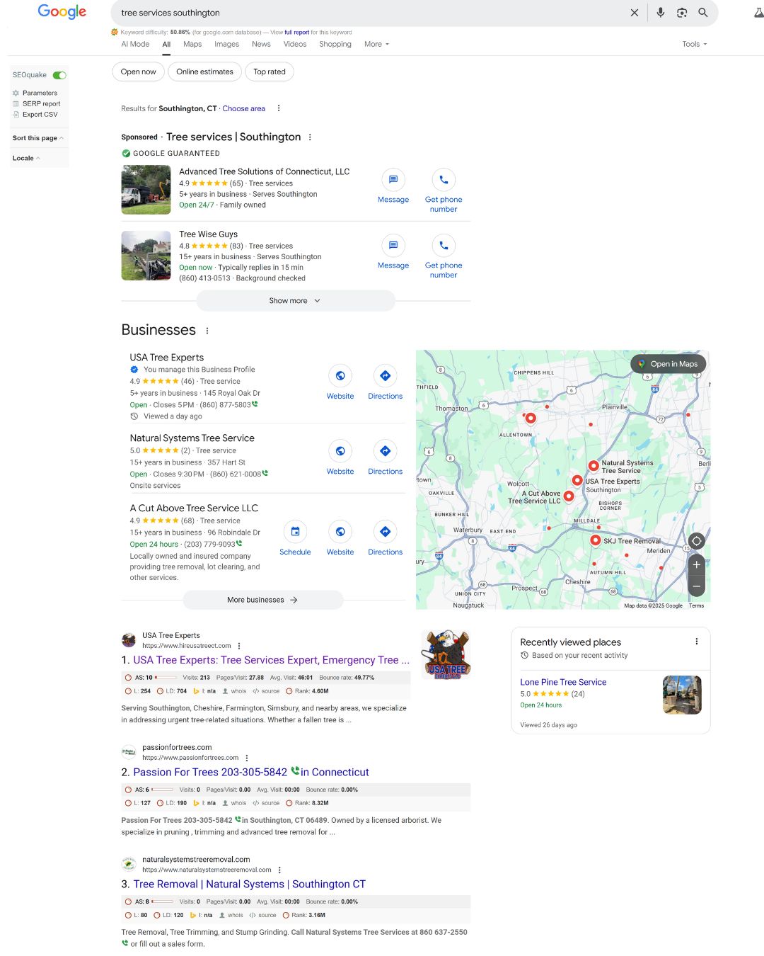 Local SEO success example: Southington-based tree service ranked #1 in Google Maps and search results. Our same SEO strategies can drive similar results for Cheshire service businesses.